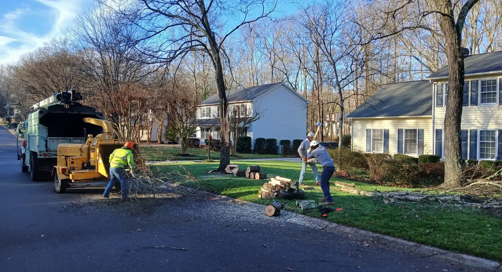 Land Clearing by Clark's Tree Care in Waxhaw, NC