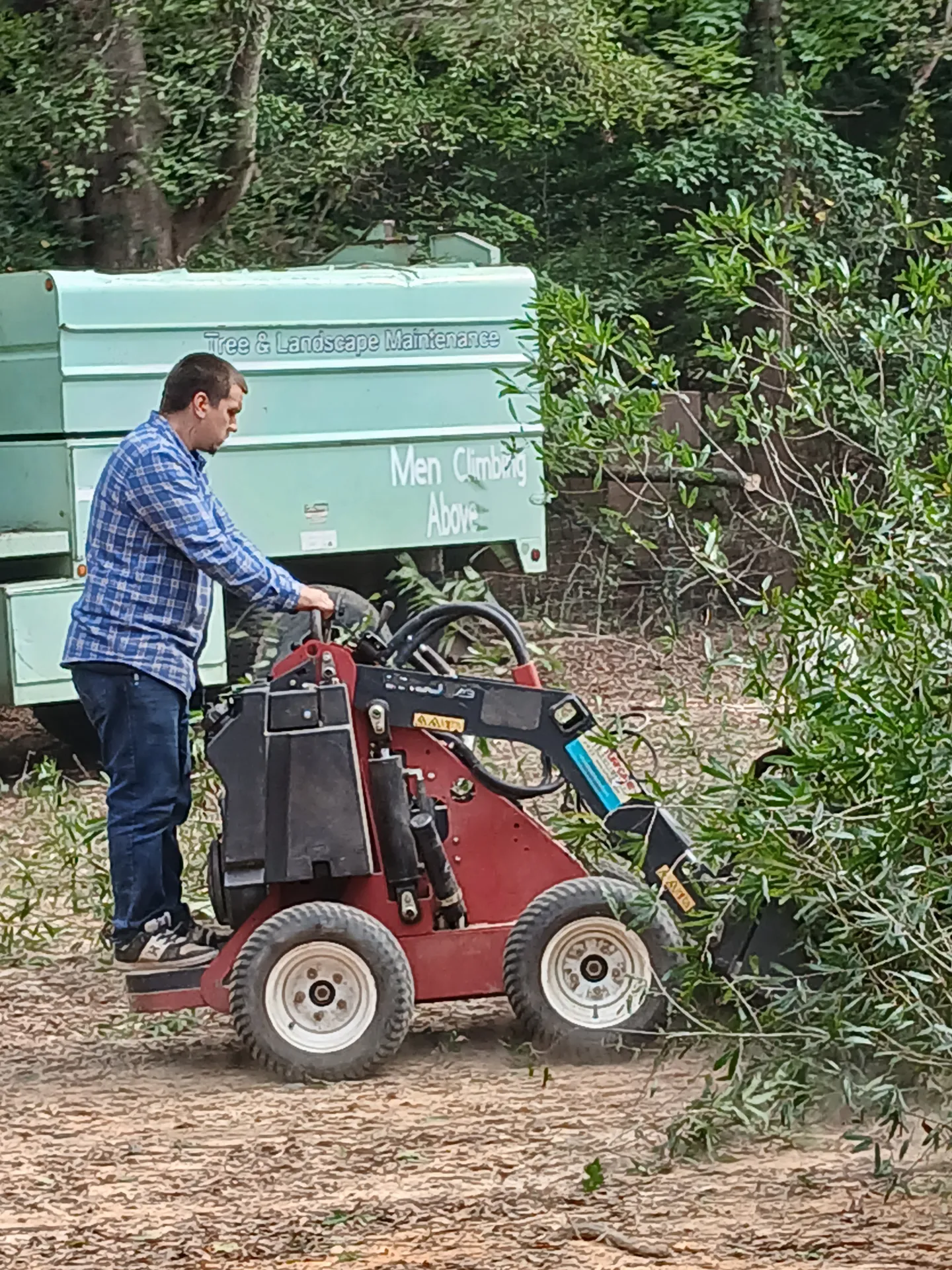 Clark's Tree Care operator clearing brush with a mini skid steer on a Waxhaw lot