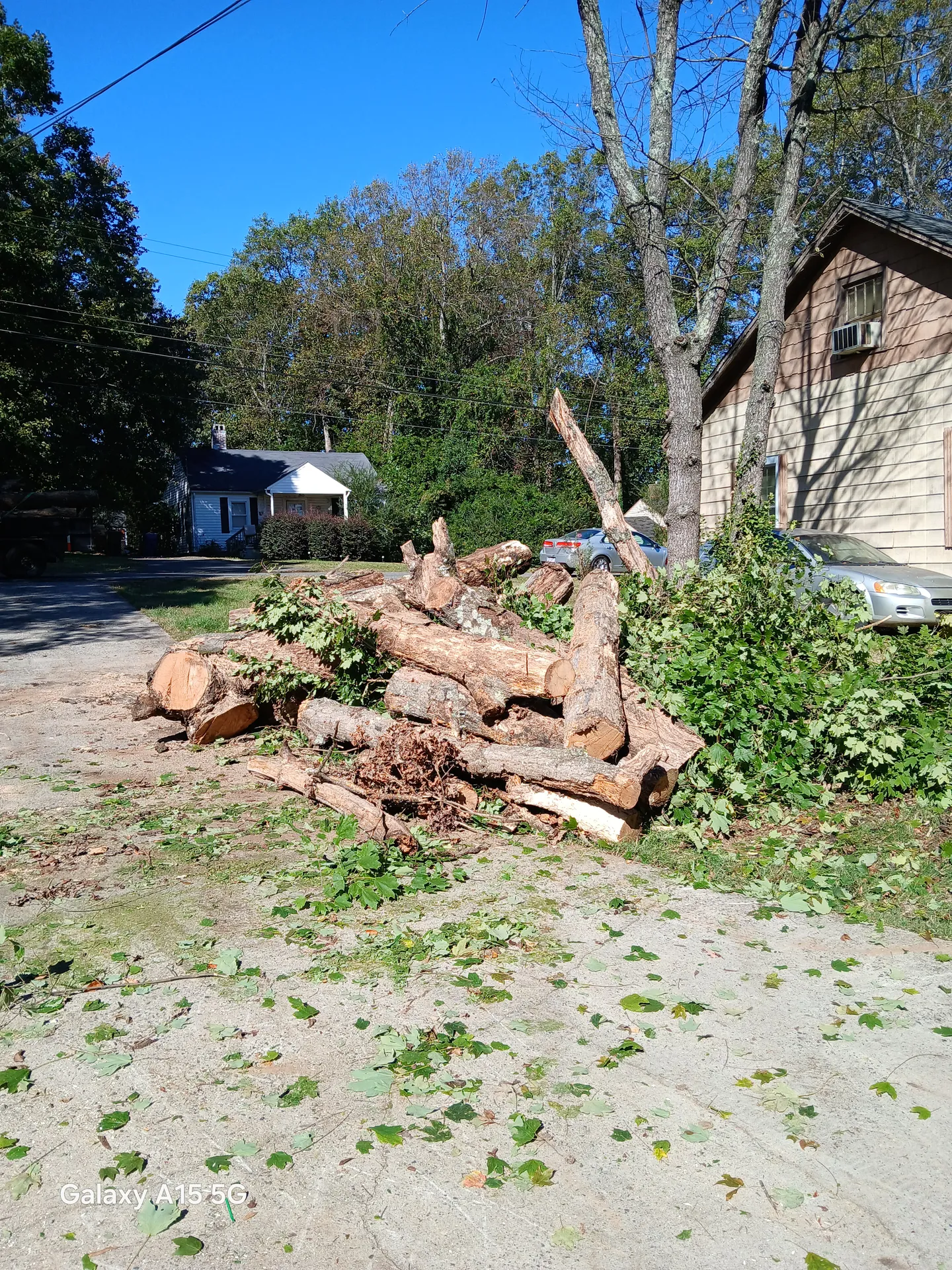 Stacked tree rounds beside a residence after a full removal