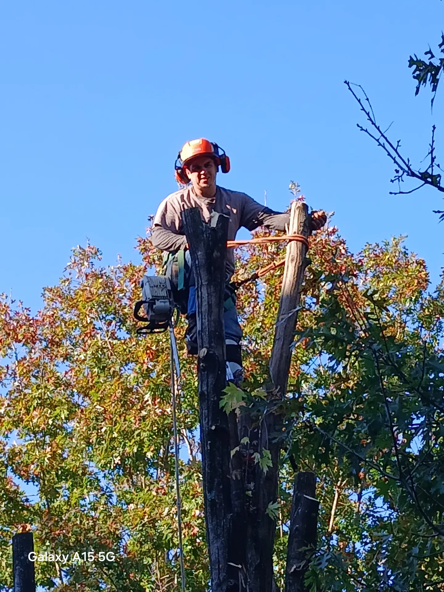 Climber on top of a spar surrounded by autumn color