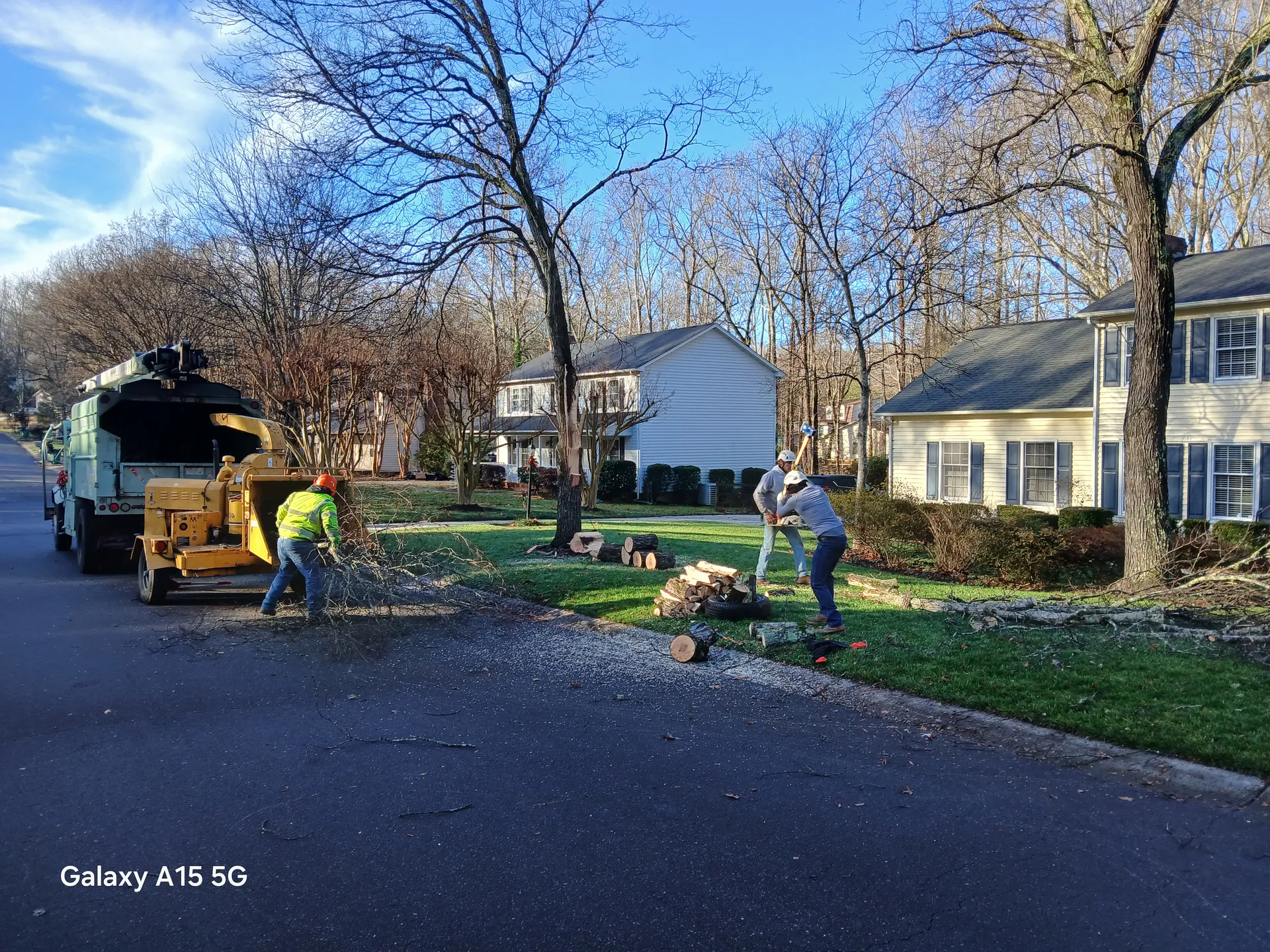 Clark's Tree Care crew chipping brush and bucking logs on a residential street