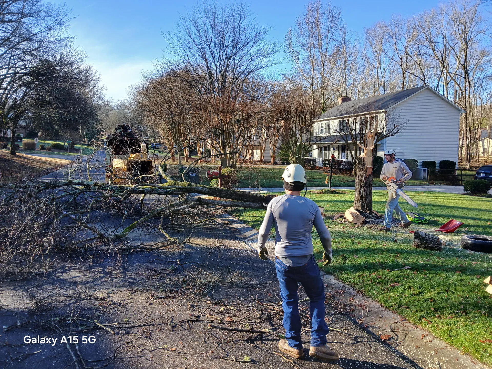 Crew clearing a fallen tree across a residential street
