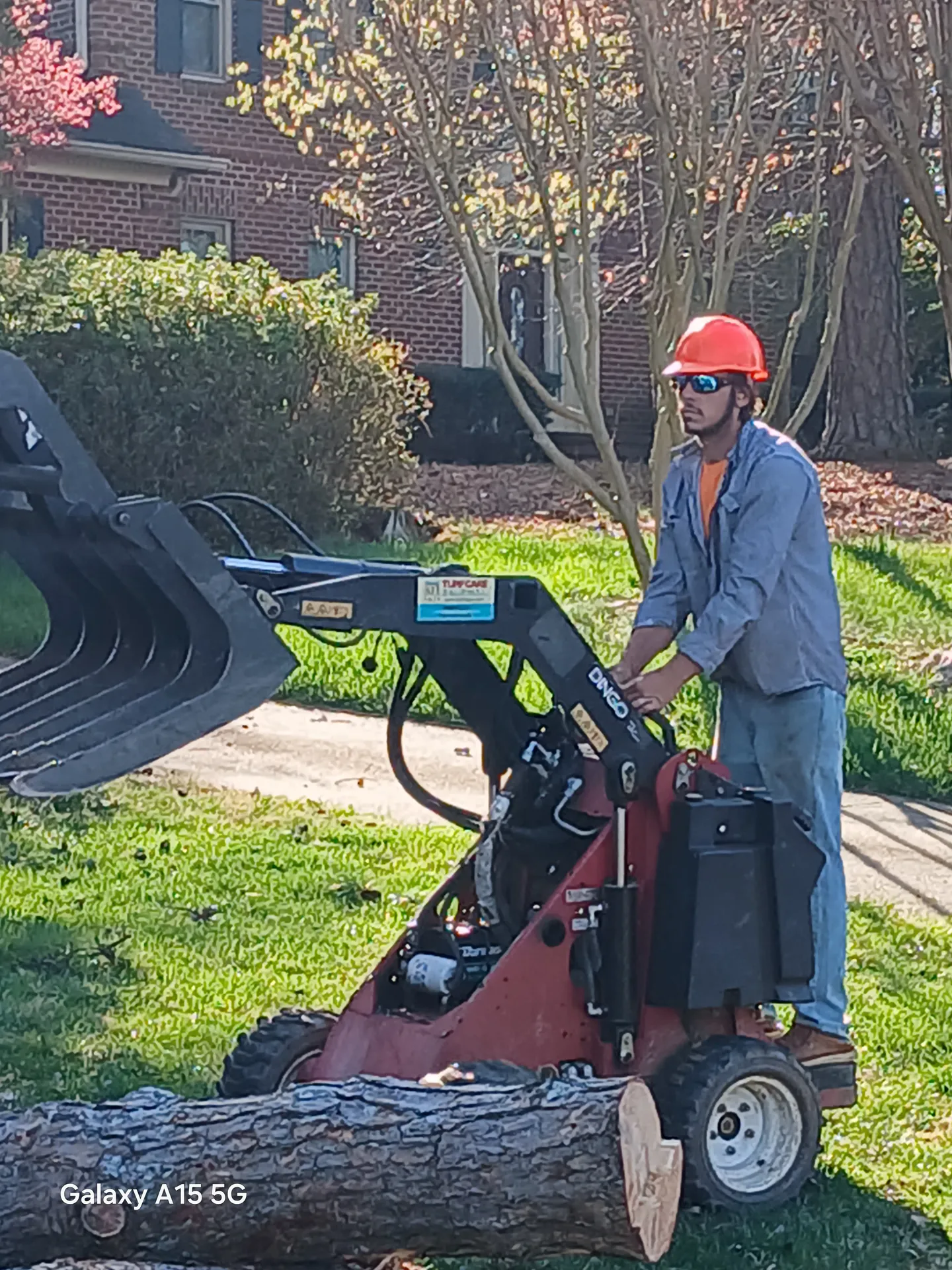 Arborist on a Dingo TX skid steer with grapple bucket moving an oak log