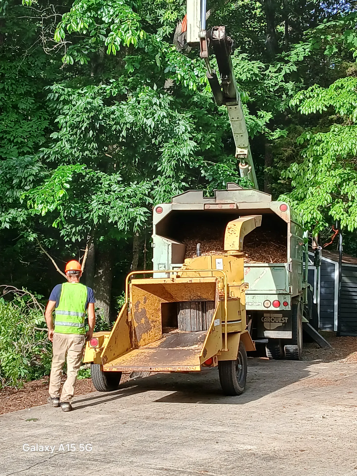 Groundsman beside a chipper full of fresh chips on a wooded job site