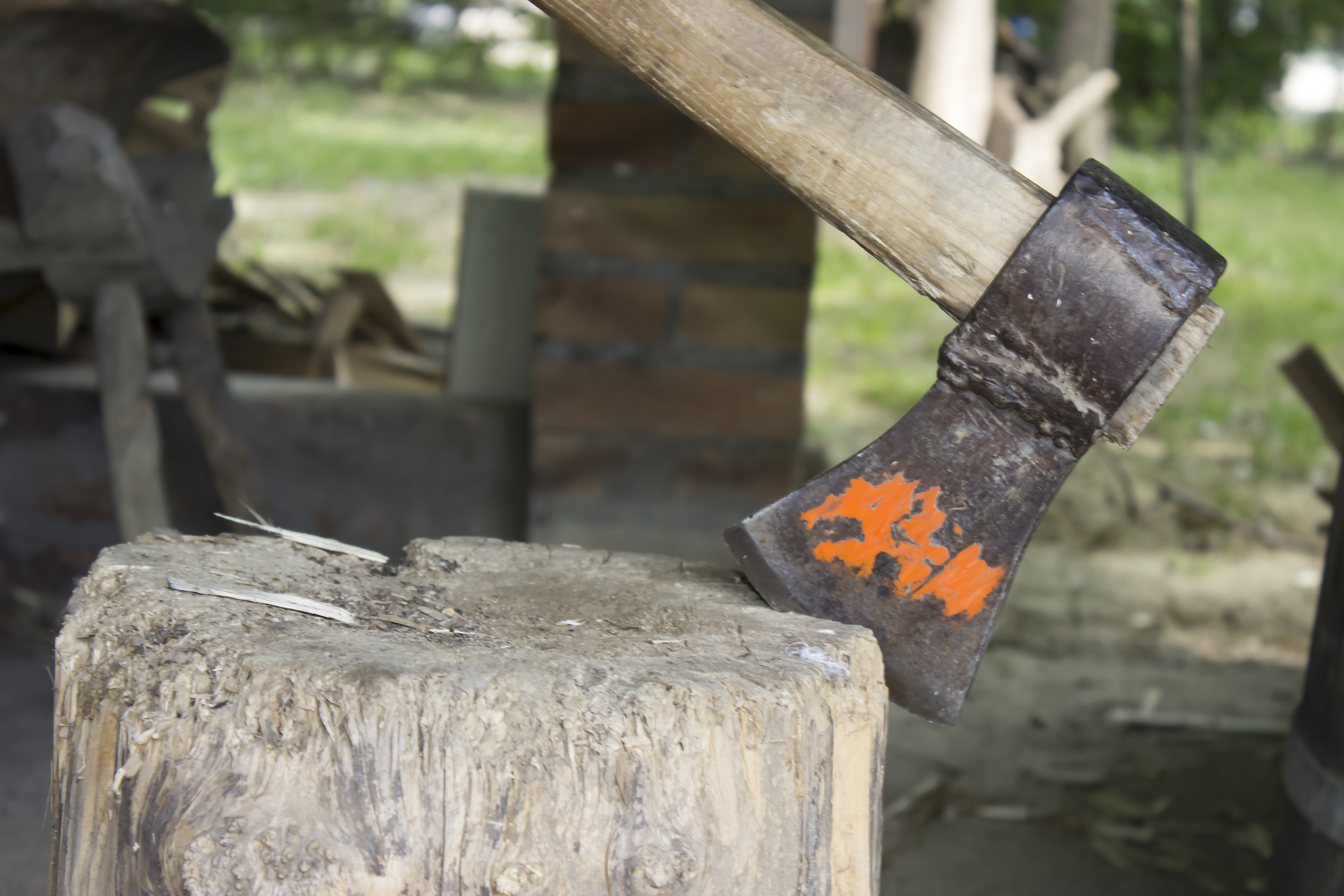 Expert Insights: Stump Grinding vs Stump Removal by Clark's Tree Care LLC